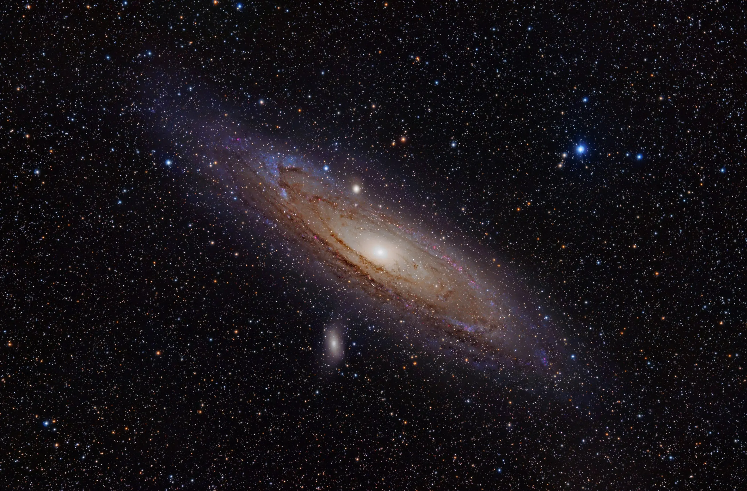 Andromeda galaksisinin tamamı; parlak sarımsı çekirdek, toz şeritli sarmal disk ve iki küçük uydu galaksi